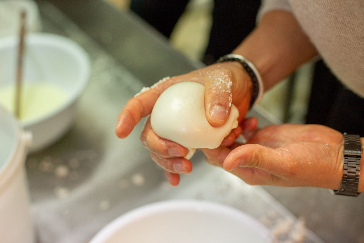 Atelier mozzarella artisanale - 2h