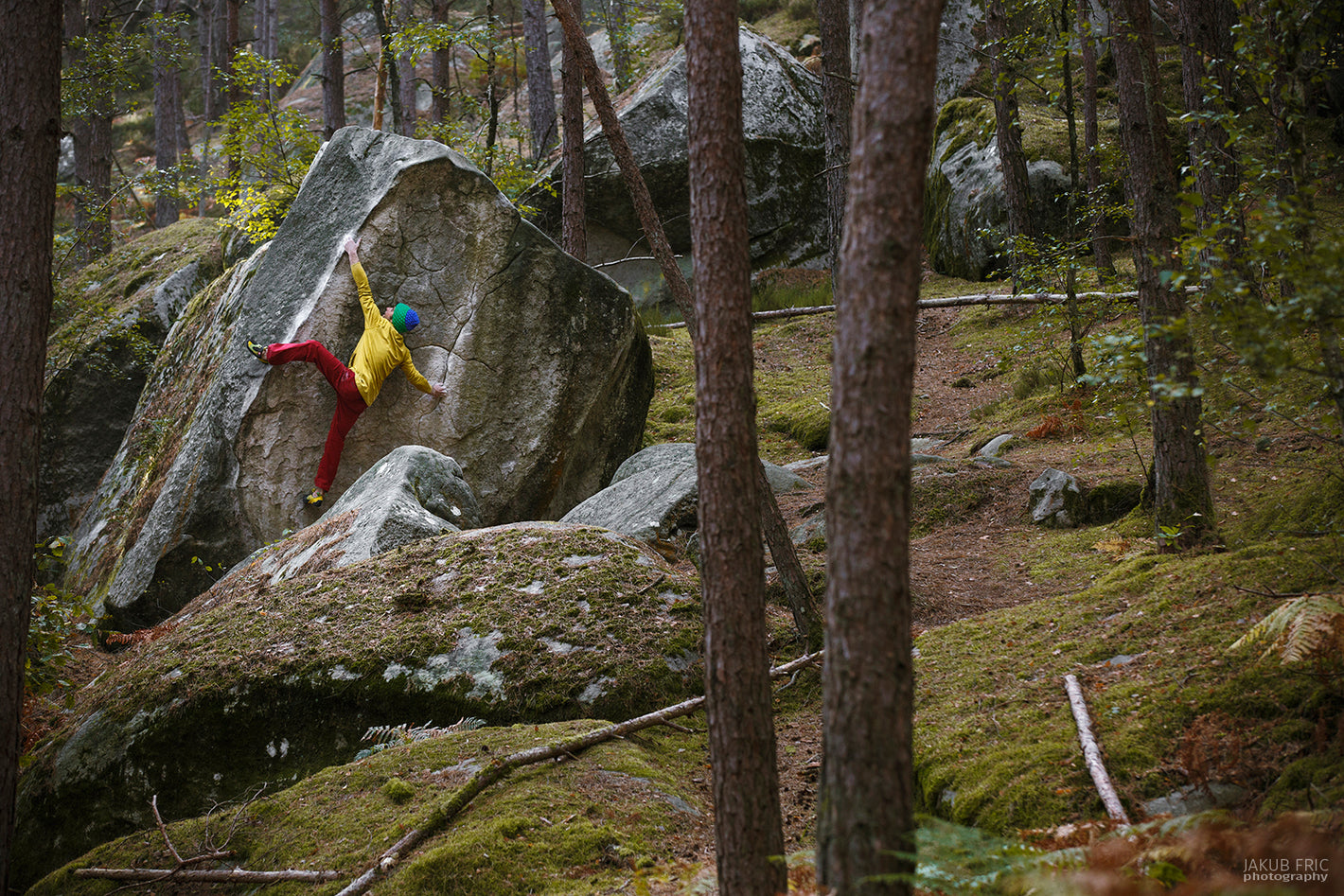Un cours d'escalade de bloc à fontainebleau avec Climb With Us - 2h