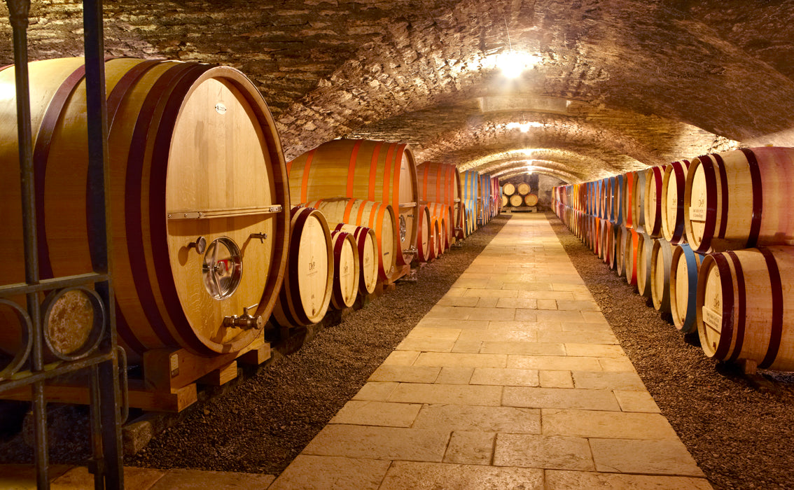 Une visite d'une cuverie et des caves, dégustation de 5 vins au Domaine Famille Picard