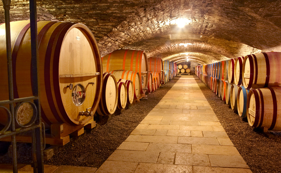 Une visite d'une cuverie et des caves, dégustation de 5 vins au Domaine Famille Picard
