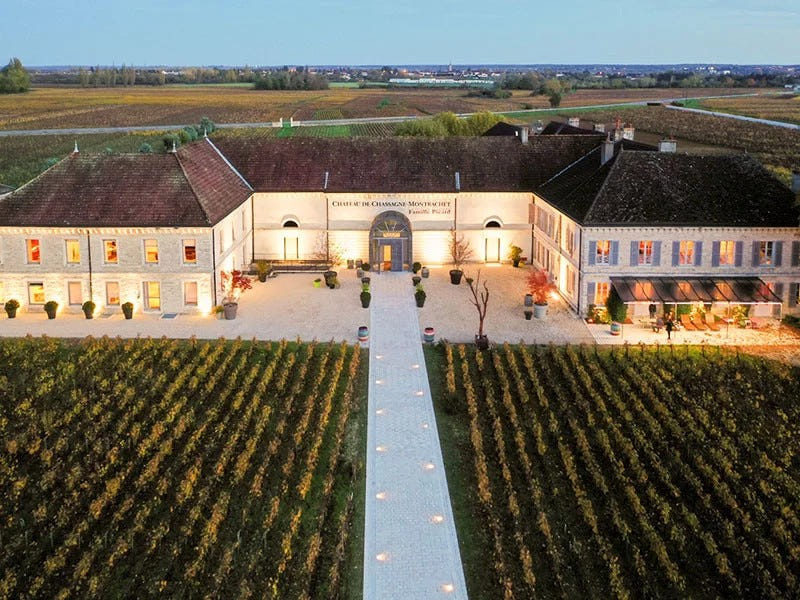 Une visite d'une cuverie et des caves, dégustation de 5 vins au Domaine Famille Picard