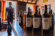 Visite du vignoble, de l’écomusée et dégustation au Château Nodot
