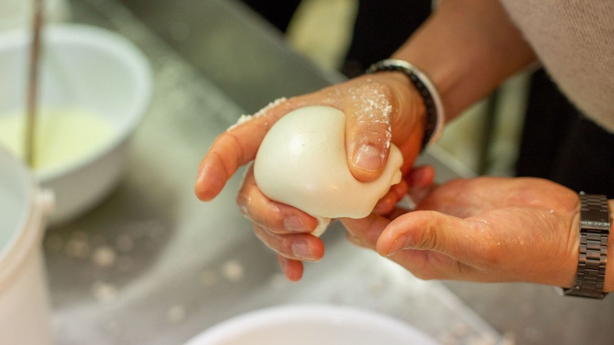 Atelier mozzarella artisanale - 2h