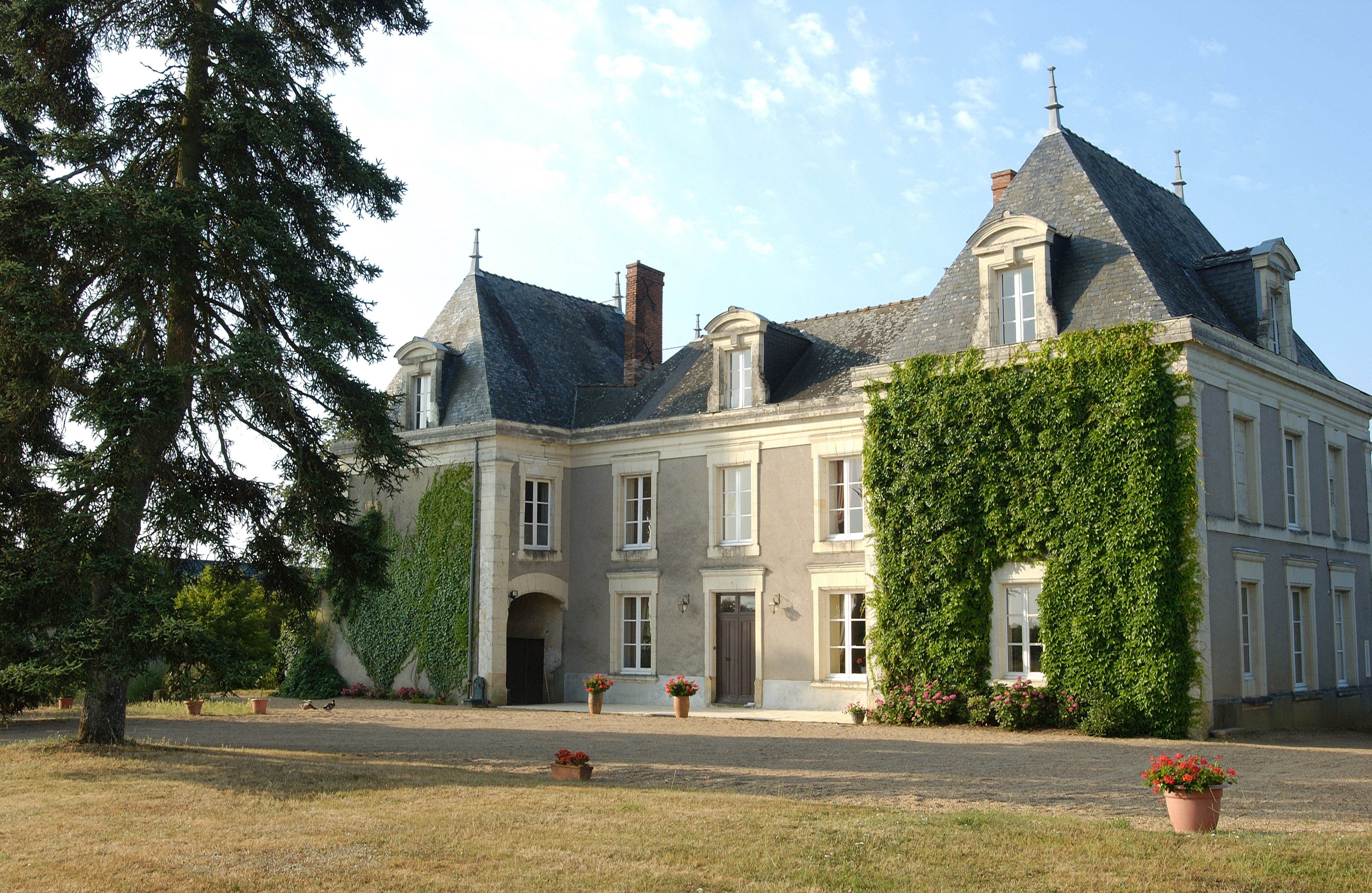 Visite et dégustation de 4 vins au Château de Bellevue
