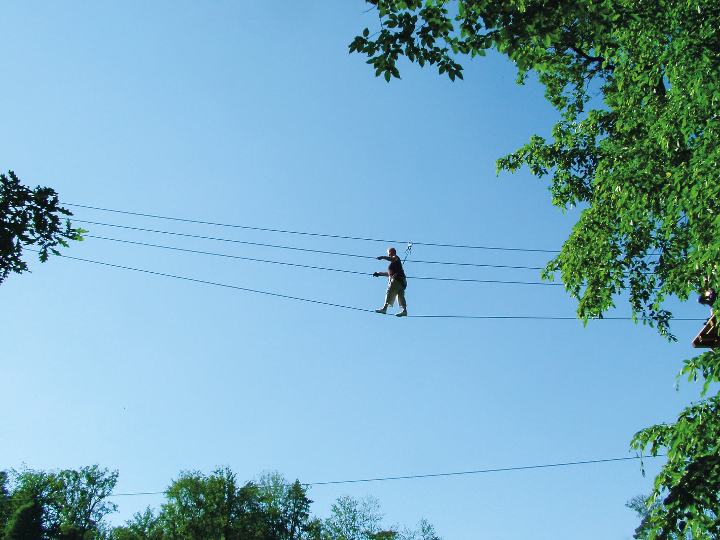 Session d'accrobranche illimitée sur la journée chez Jumping Forest