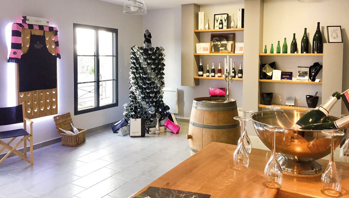 Visite du vignoble et dégustation commentée de trois champagnes chez Champagne Dagonet & Fils