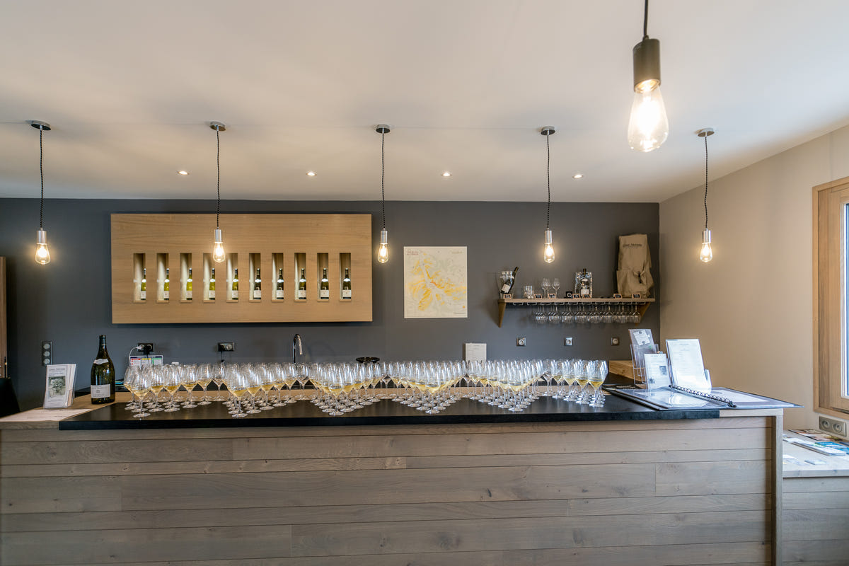 Une dégustation de 4 vins au Domaine Louis Moreau