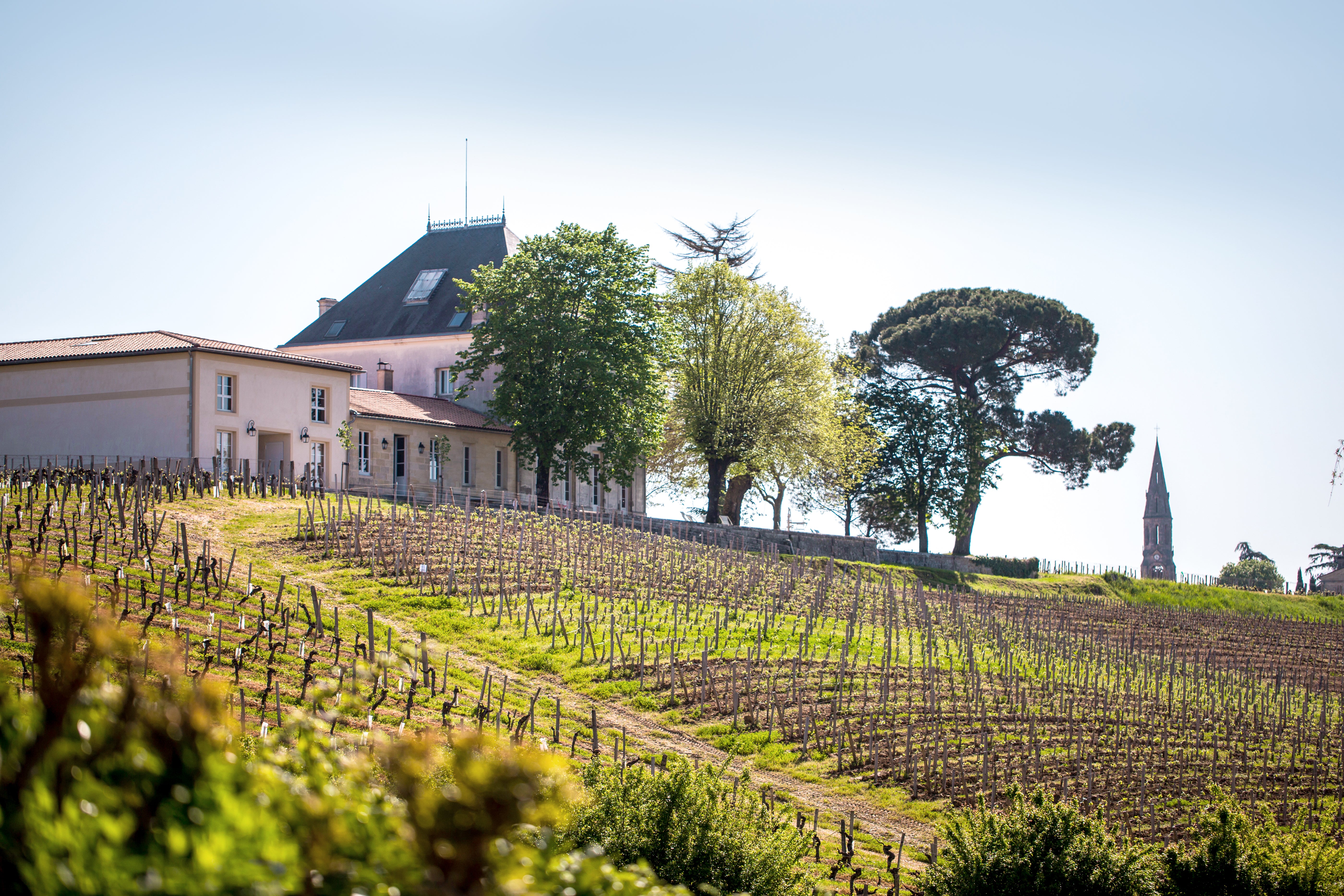 Une visite du domaine du Château Tournefeuille - 1h30