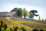 Une visite du domaine du Château Tournefeuille - 1h30