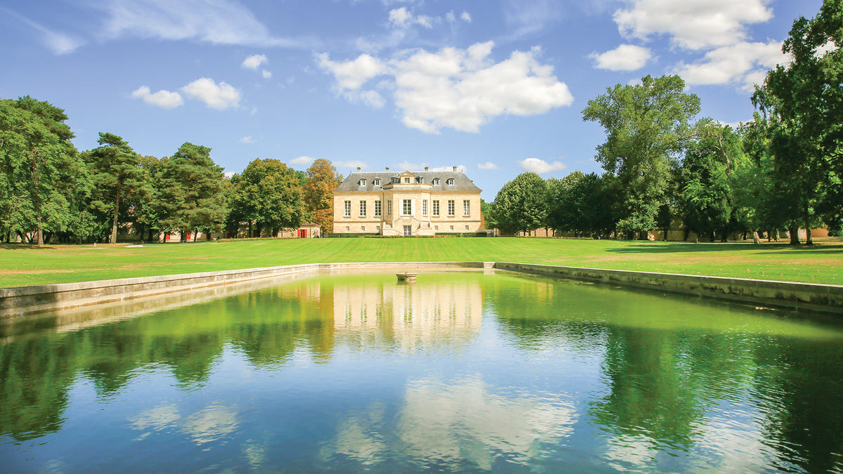 Visite du Château La Louvière et dégustation de 4 vins