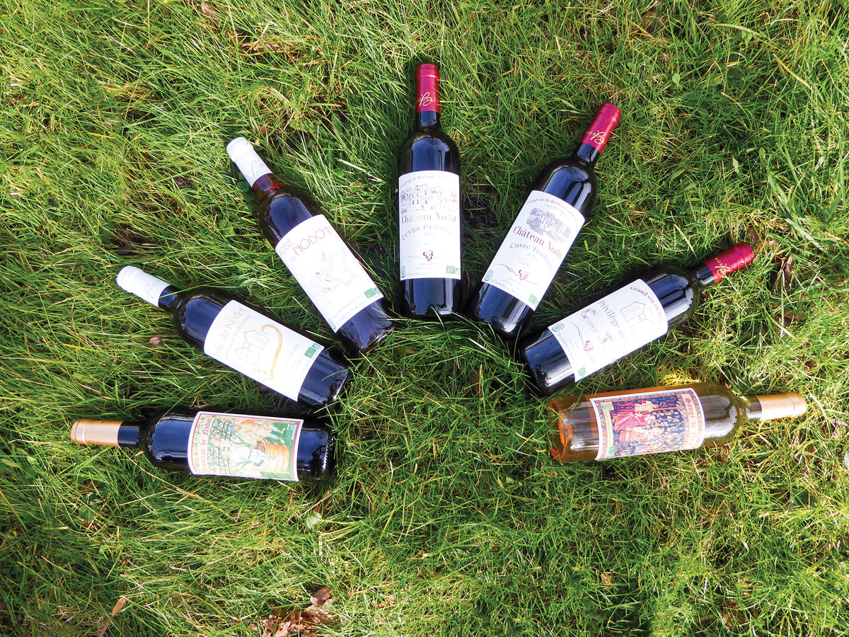 Visite du vignoble, de l’écomusée et dégustation au Château Nodot