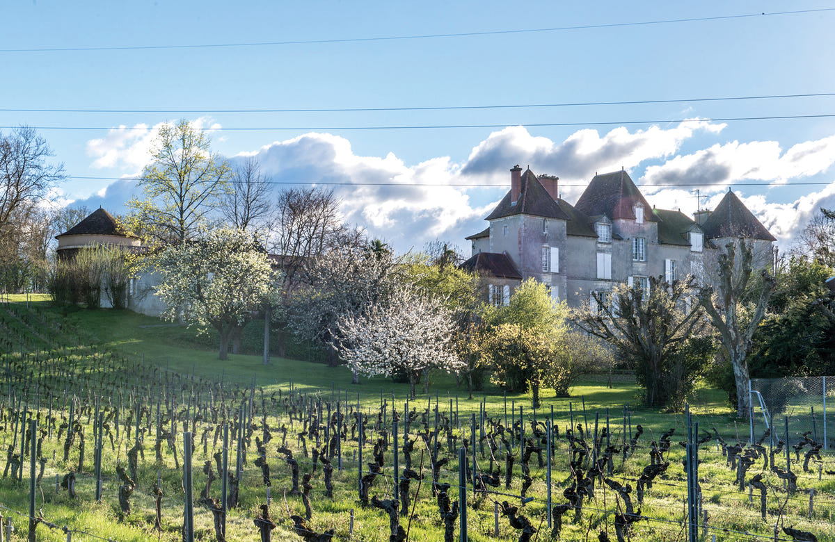 Une dégustation de vins , charcuterie et fromage au Château de Chelivette