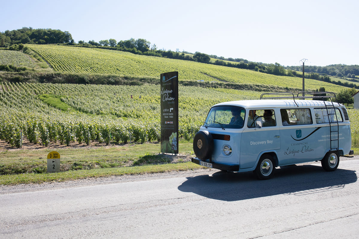 Balade et dégustation de champagne en combi dans les vignes chez Champagne Lévêque Dehan