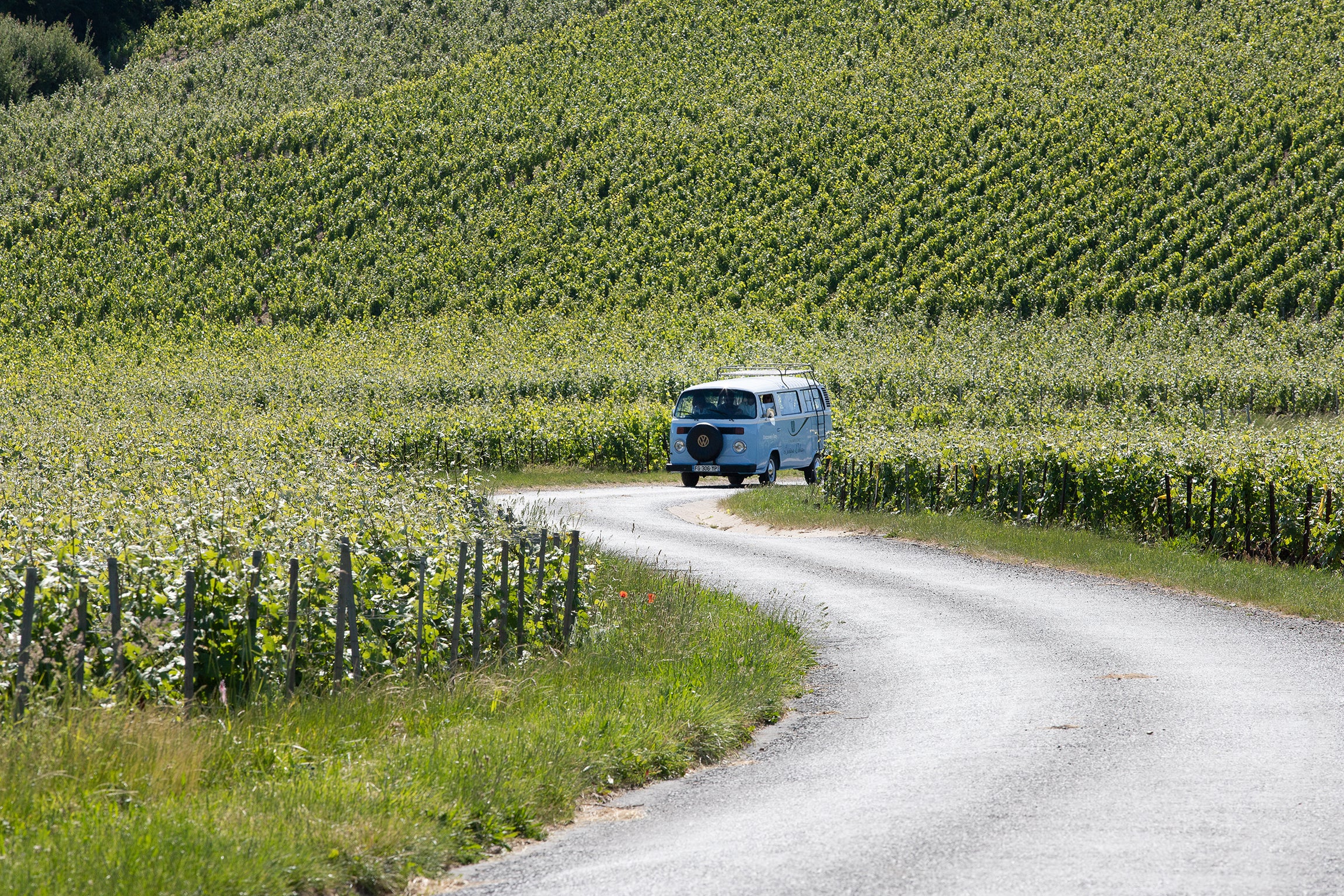 Balade et dégustation de champagne en combi dans les vignes chez Champagne Lévêque Dehan