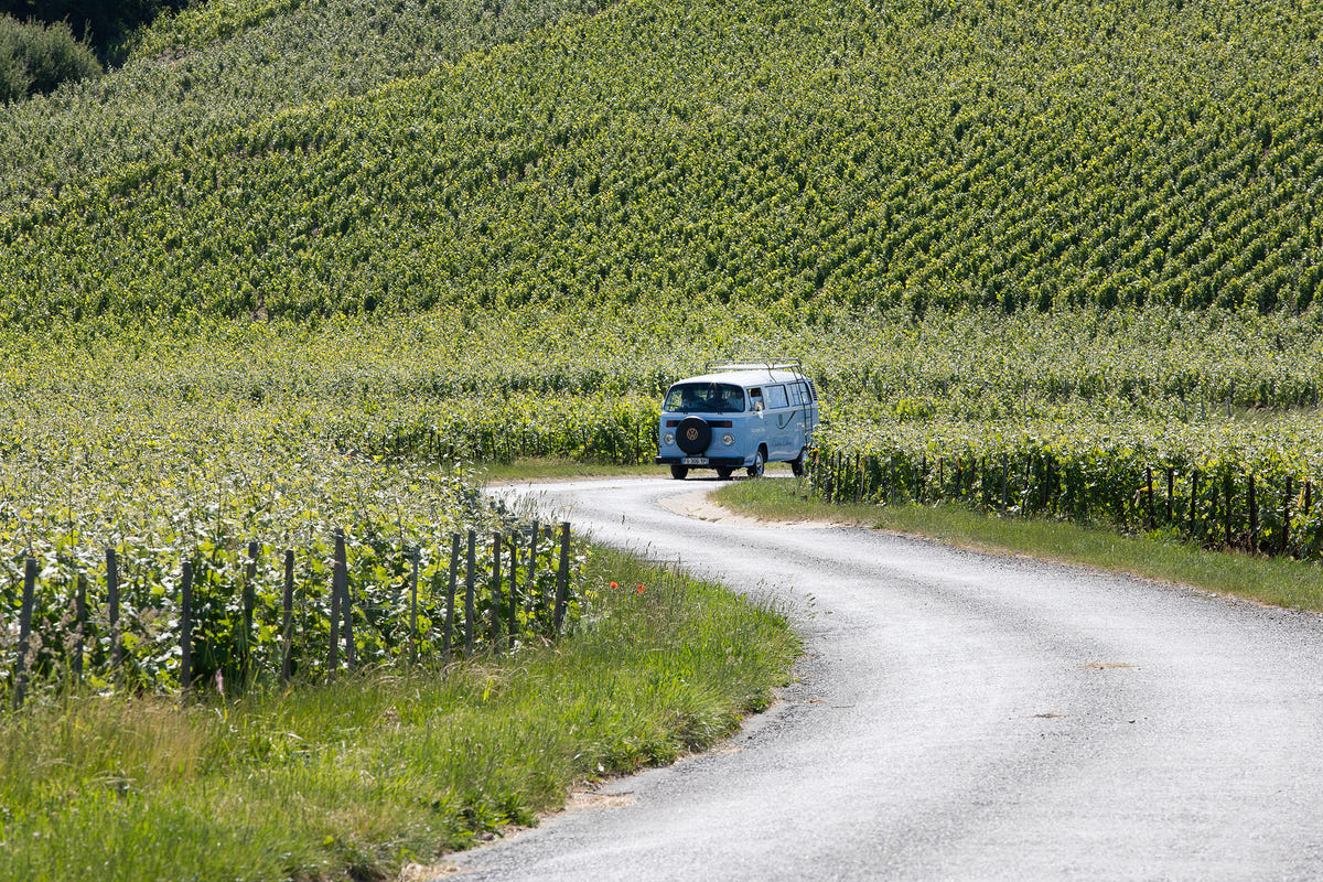 Balade et dégustation de champagne en combi dans les vignes chez Champagne Lévêque Dehan