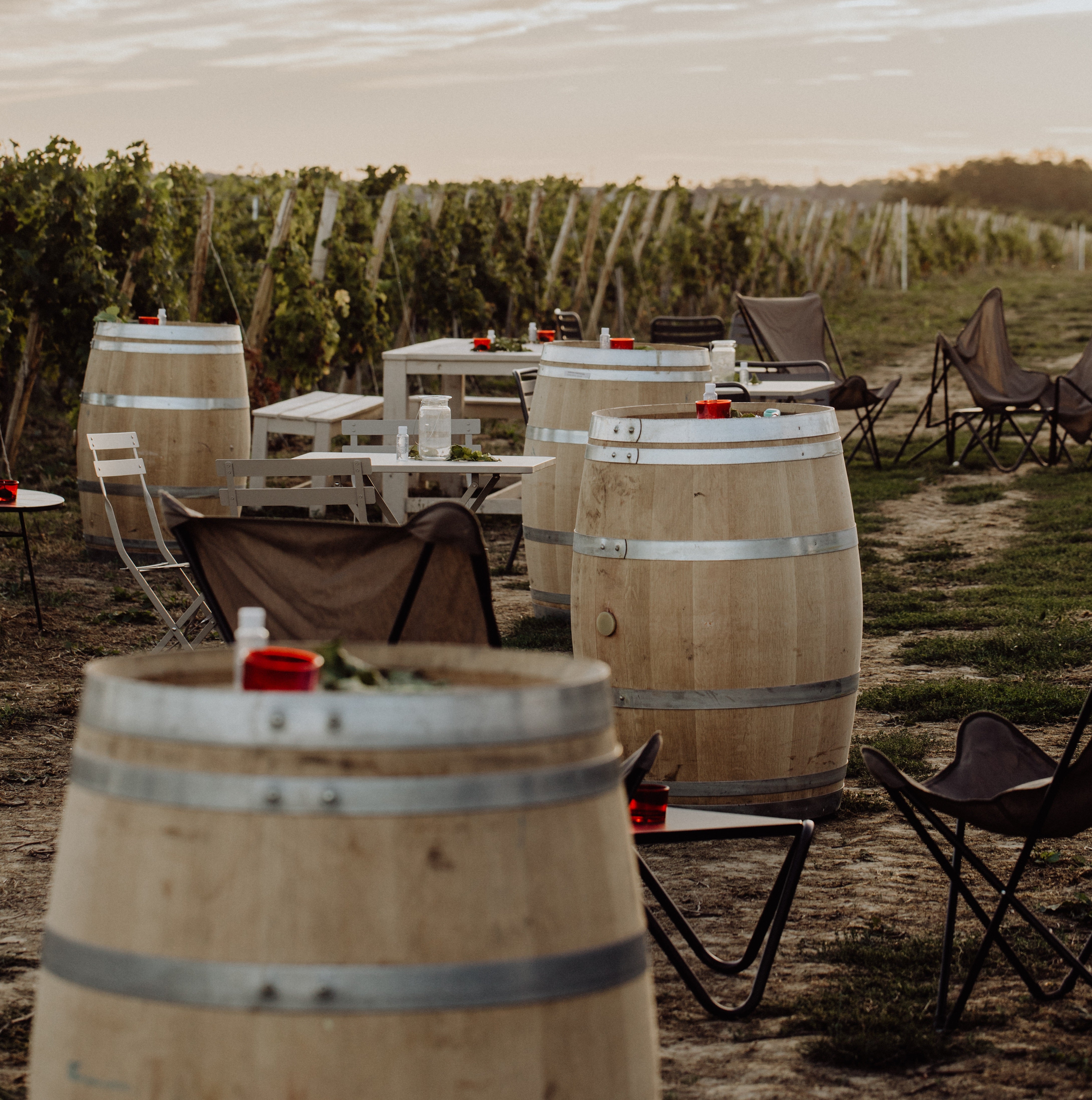 Une visite du domaine viticole et dégustation accord mets et vins au Domaine La Bouche du Roi