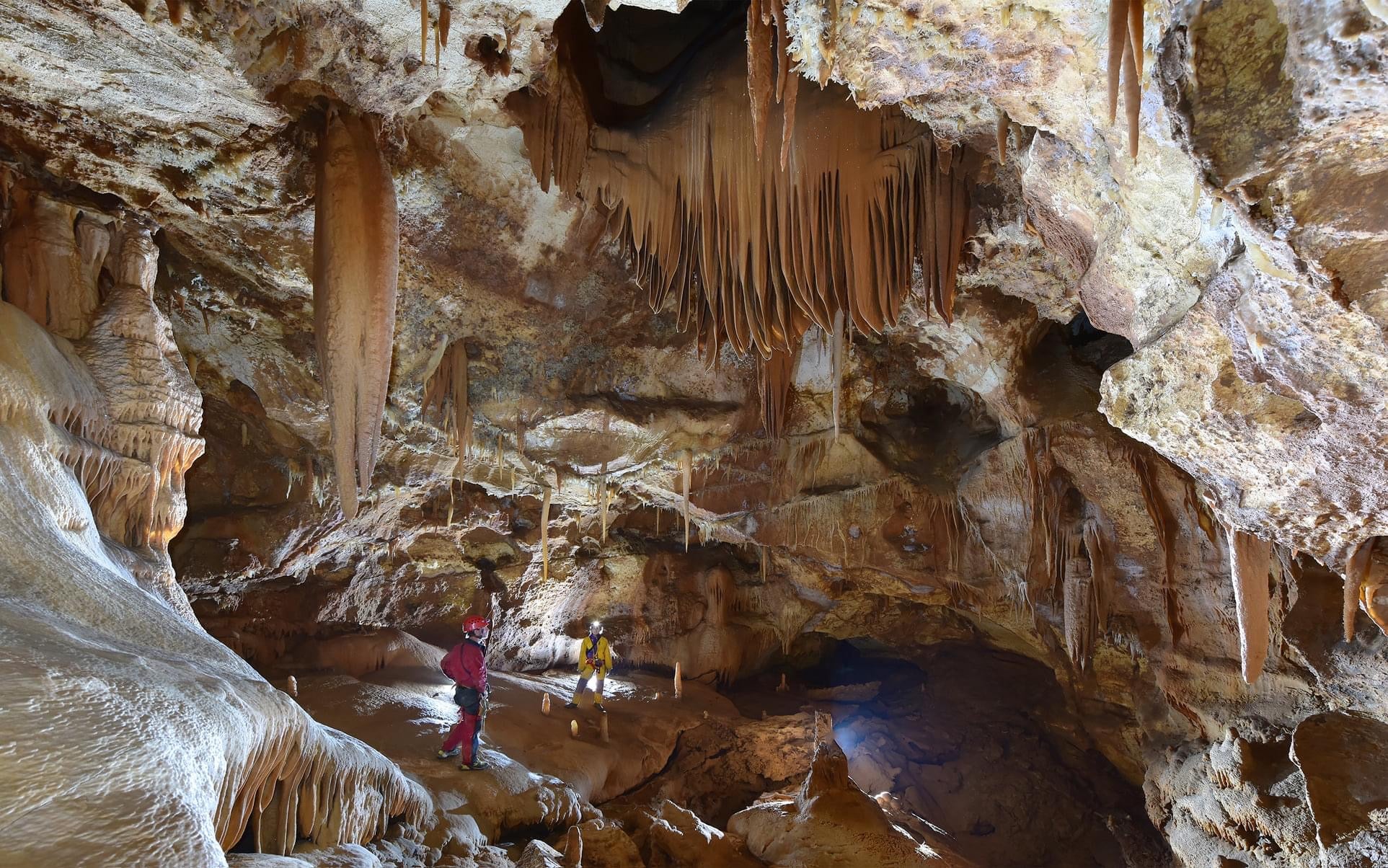 Initiation à la spéléologie dans la grotte de la Salamandre - 2h30