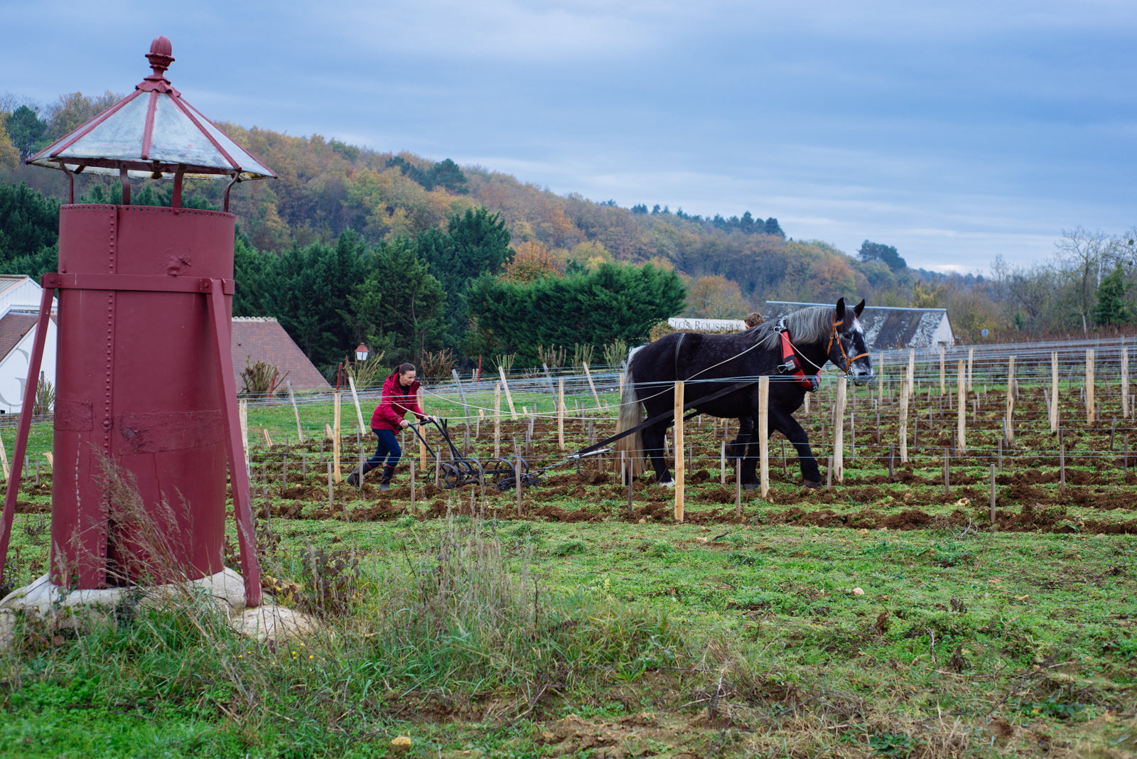 Une dégustation commentée des vins du Domaine du Clos Roussely - 1h