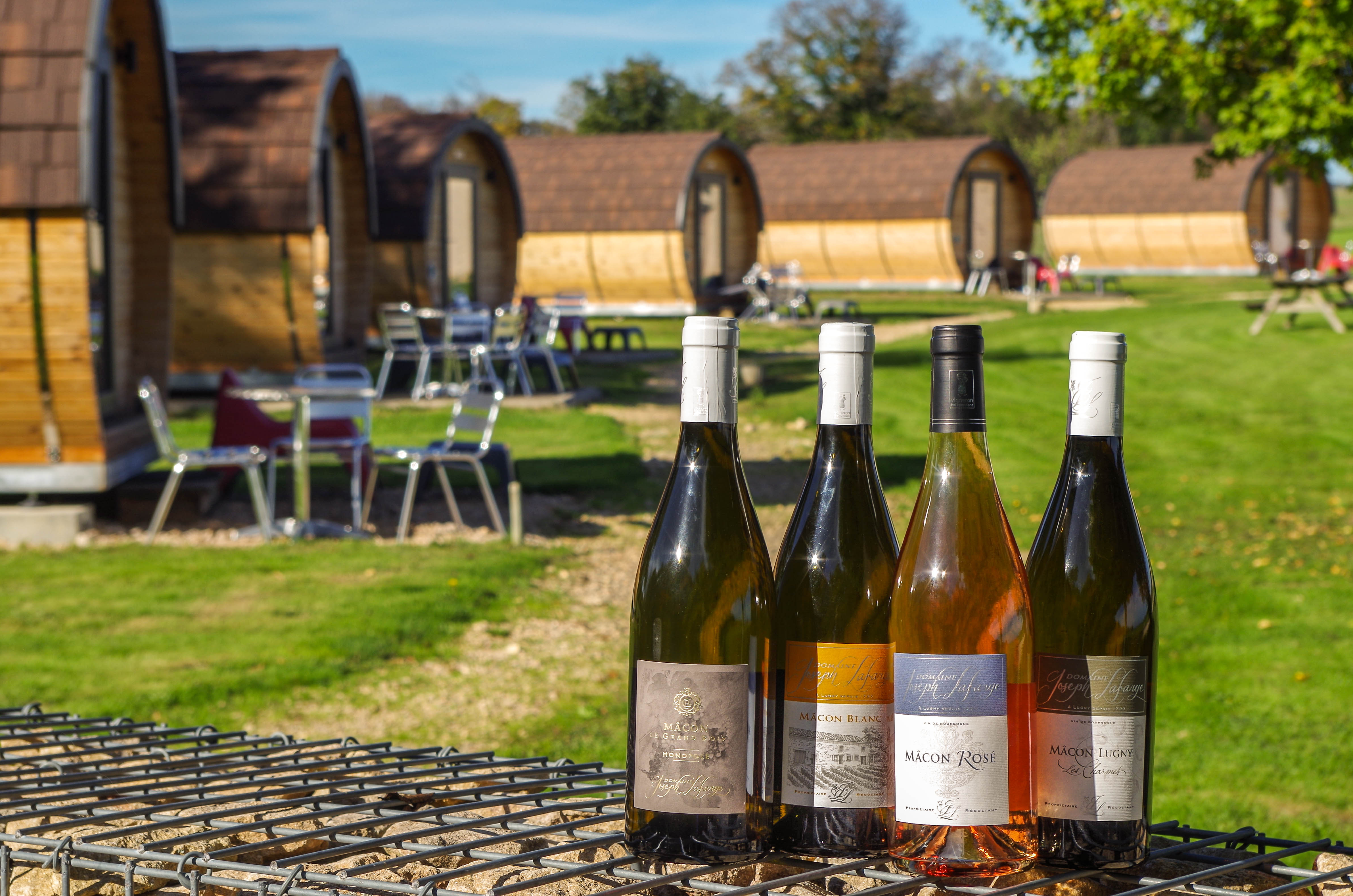 Une initiation oenologique chez Domaine Joseph Lafarge - 2h