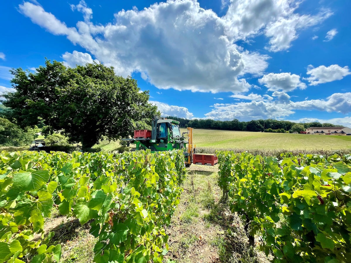Une dégustation Privilège de vin dans les cuves chez Domaine Joseph Lafarge - 2h
