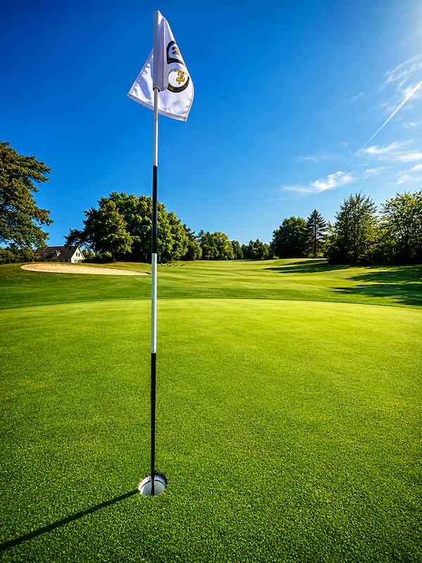 Une journée au Green Fee 9 trous avec déjeuner chez Ugolf Gif-Chevry