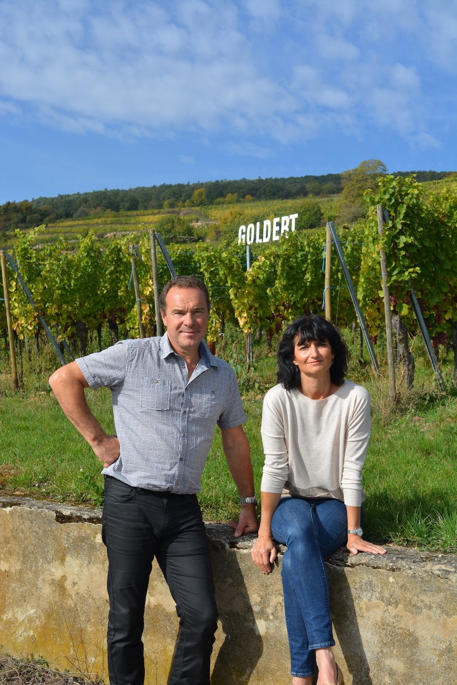 Un cours et une dégustation au domaine Humbrecht chez Domaine Humbrecht - 3h30