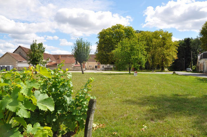 Création d'une cuvée privée : vin rouge AOC Touraine chez Les Pierres d'Aurèle - 1h30
