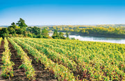 Initiation à la dégustation pour deux au Château de Bellevue