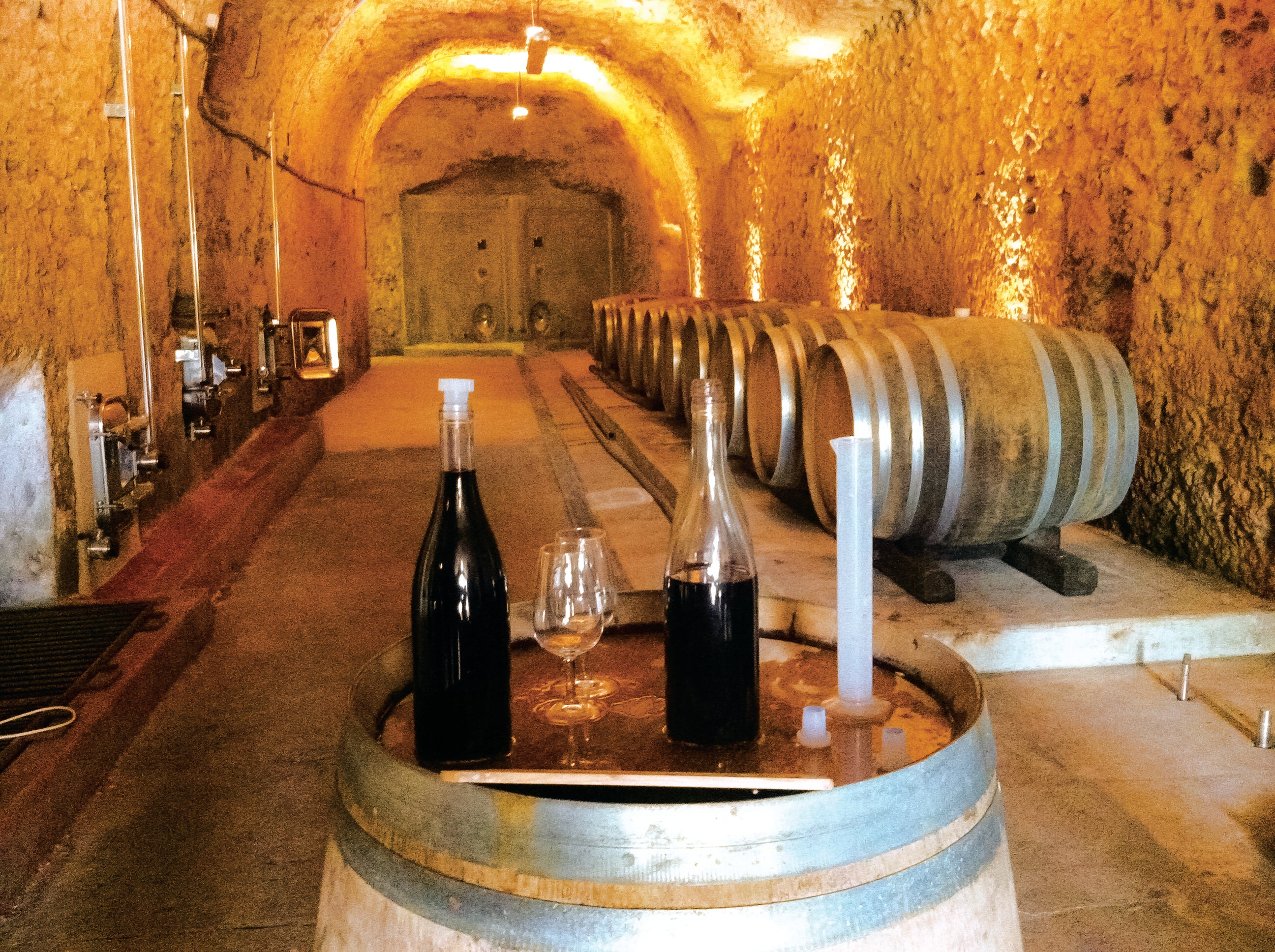 Une dégustation commentée des vins du Domaine du Clos Roussely - 1h