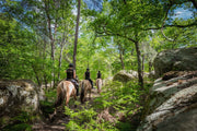 Week-end équestre à la découverte des secrets de Fontainebleau avec Espace Henson