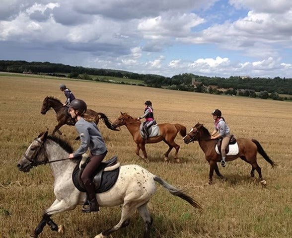 Équitation : une promenade ou initiation au Moulin de la Forge du Centre Équestre de Longvilliers - 1h