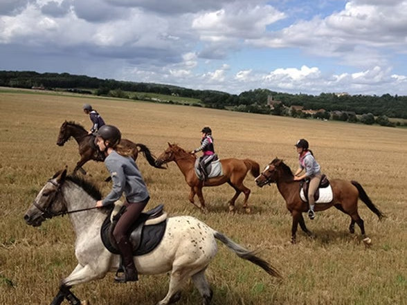Équitation : une promenade ou initiation au Moulin de la Forge du Centre Équestre de Longvilliers