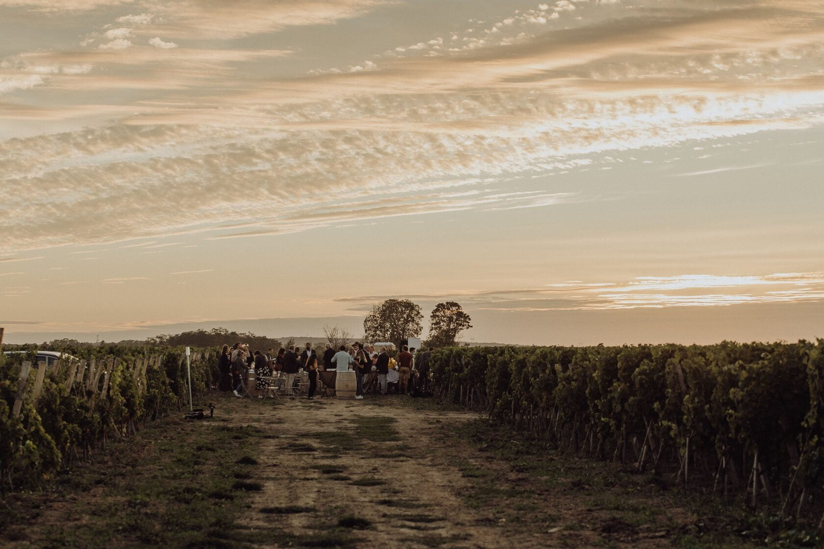 Une visite du domaine viticole et dégustation accord mets et vins au Domaine La Bouche du Roi