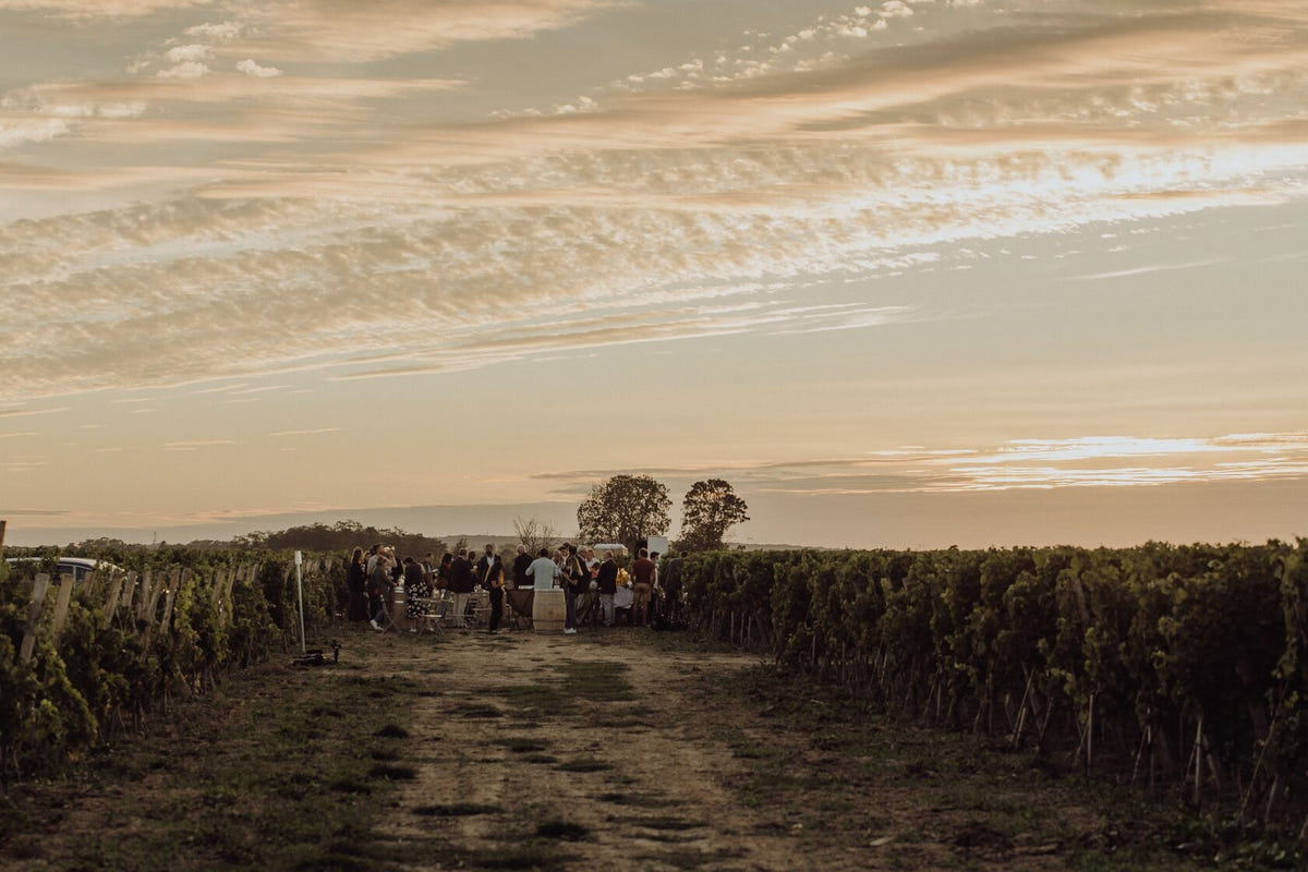 Une visite du domaine viticole et dégustation accord mets et vins au Domaine La Bouche du Roi