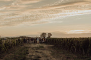 Une visite du domaine viticole et dégustation accord mets et vins au Domaine La Bouche du Roi