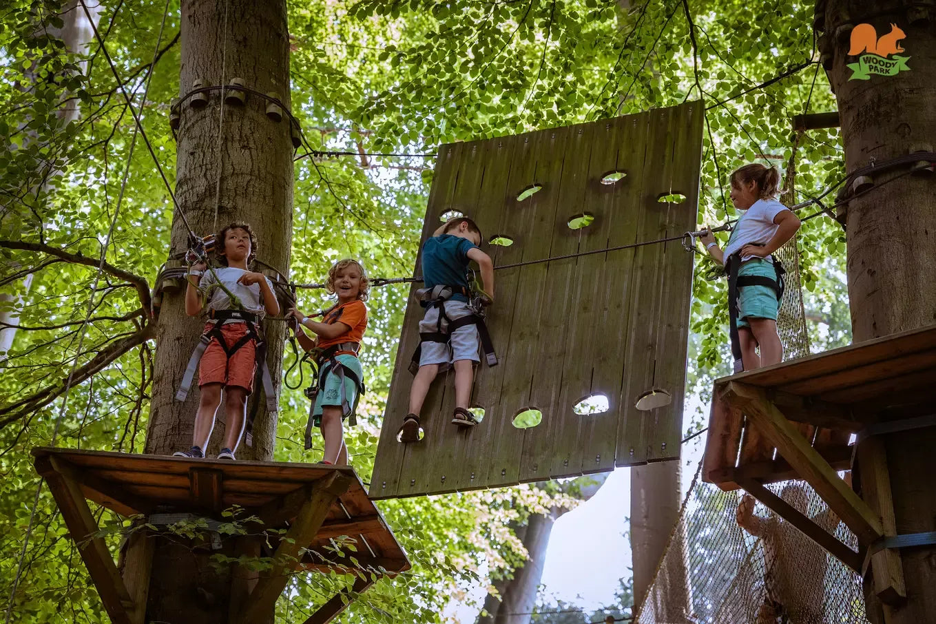 Une formule adulte de cinq parcours Aventure chez Woody Park