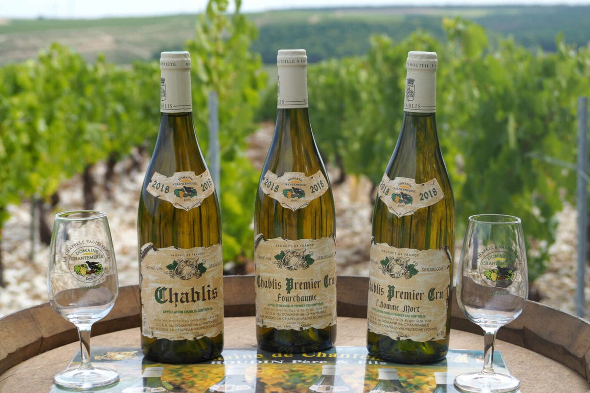 Découverte de la vinification des vin Chablis au Domaine de Chantemerle