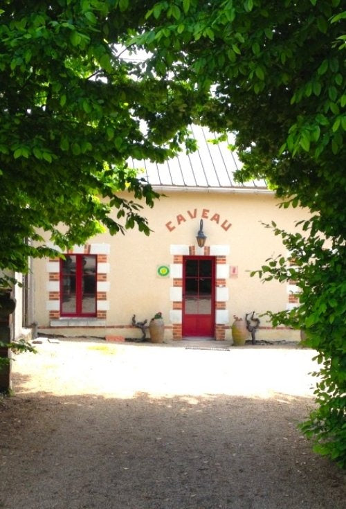 Visite et dégustation de 4 vins au Château de Bellevue